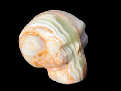 Afghan Jade skull 47-52mm  180-198g Rocks and Things