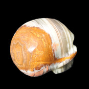 Afghan Jade skull 47-52mm  180-198g Rocks and Things