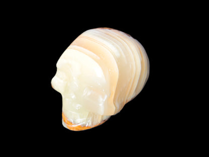 Afghan Jade skull 47-52mm  180-198g Rocks and Things