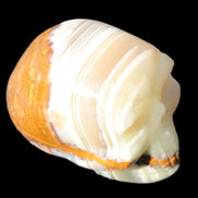 Afghan Jade skull 47-52mm  180-198g Rocks and Things