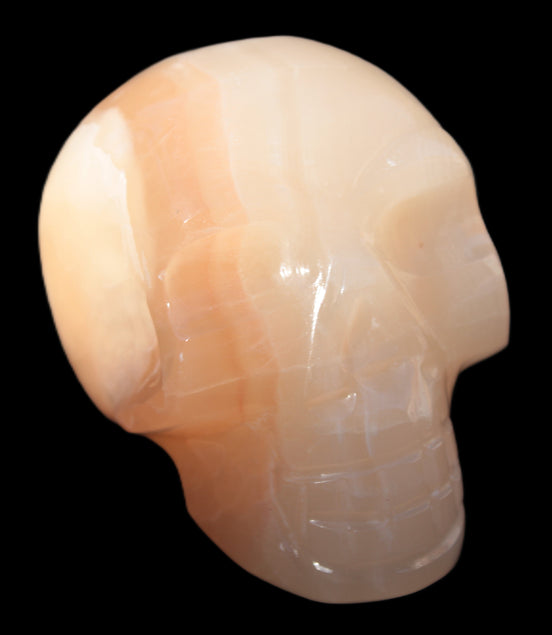 Afghan Jade hand-carved skull 52-49mm 146-152g in sunshine - Rocks and Things  Store