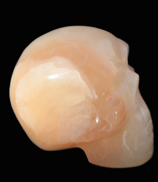 Afghan Jade hand-carved skull 52-49mm 146-152g in sunshine - Rocks and Things  Store