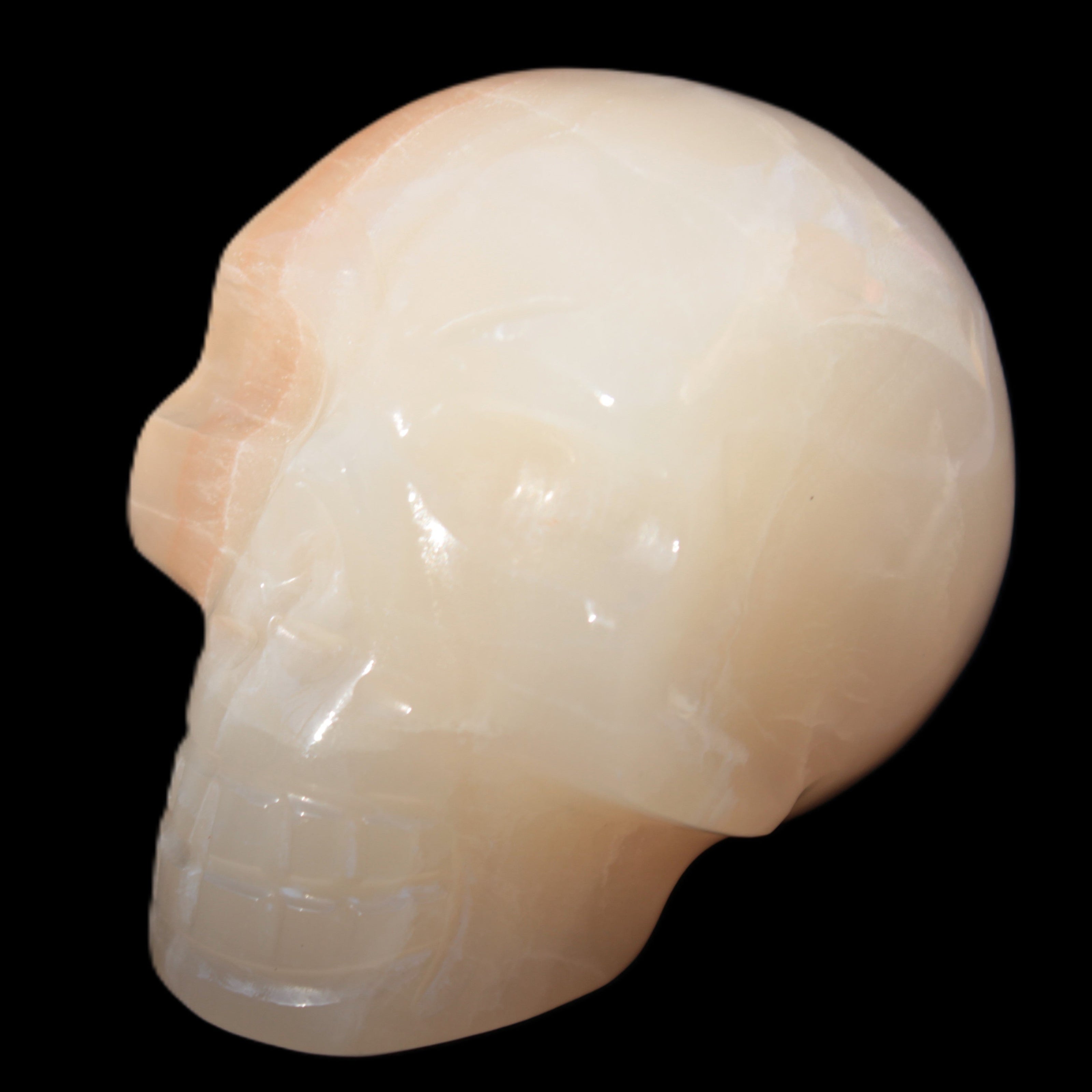 Afghan Jade hand-carved skull 52-49mm 146-152g in sunshine - Rocks and Things  Store