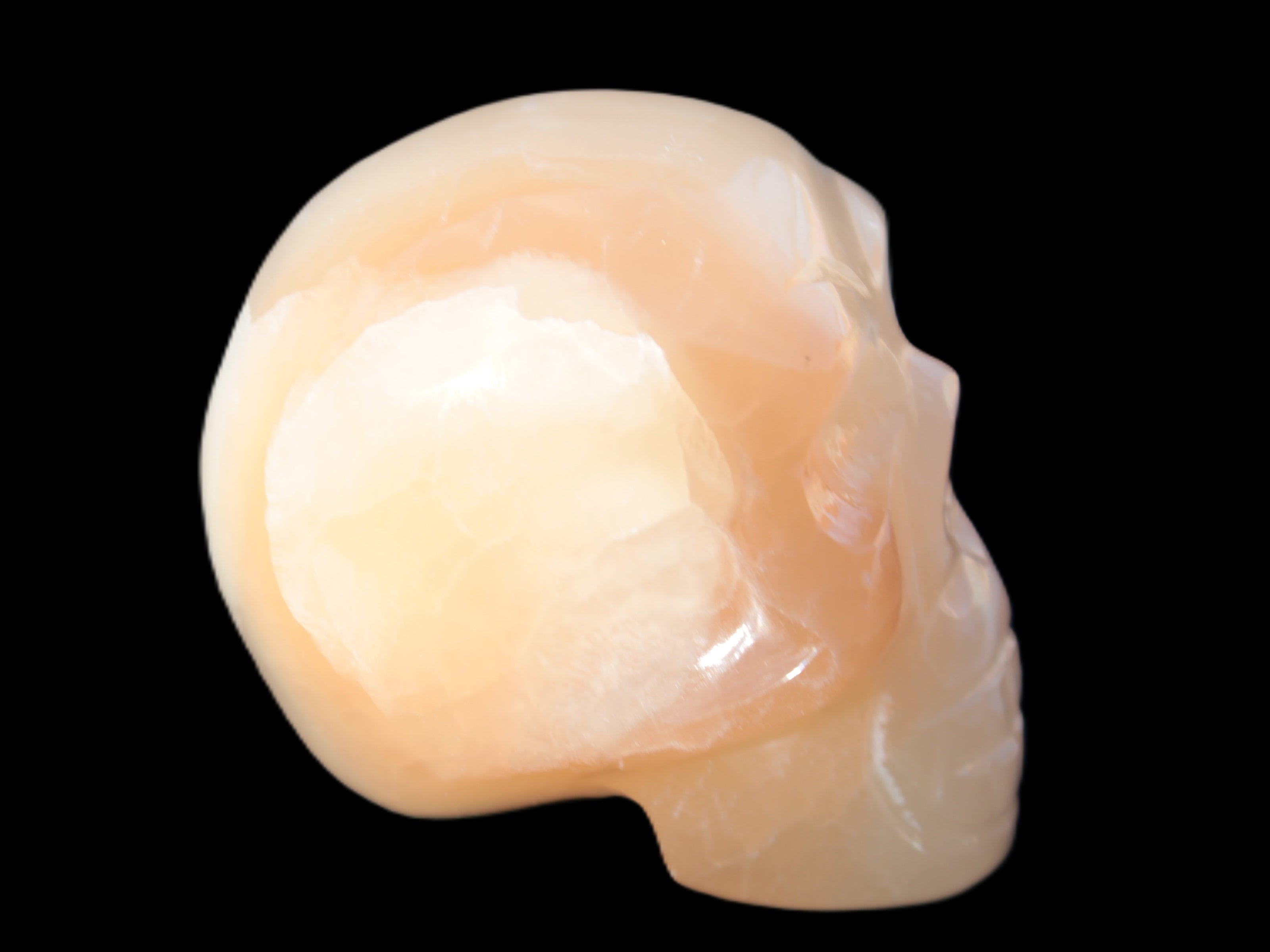 Afghan Jade hand-carved skull 52-49mm 146-152g in sunshine - Rocks and Things  Store