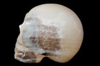 Afghan Jade hand-carved skull 52-49mm 146-152g in sunshine - Rocks and Things  Store