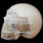 Afghan Jade hand-carved skull 52-49mm 146-152g in sunshine - Rocks and Things  Store