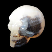 Afghan Jade hand-carved skull  52-49mm 146-152g Rocks and Things