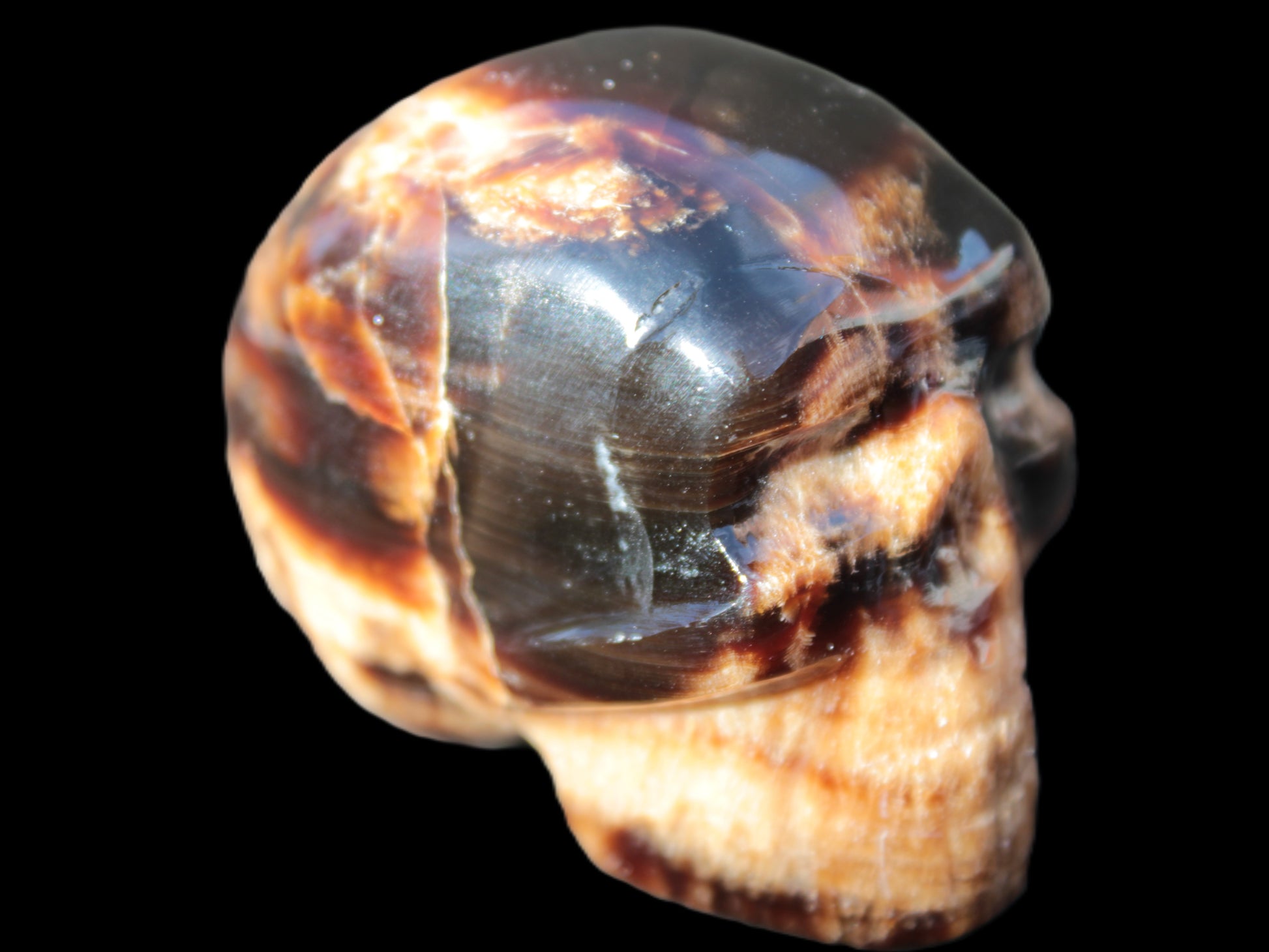 Chocolate Calcite skull 52-53mm 191-204g Rocks and Things