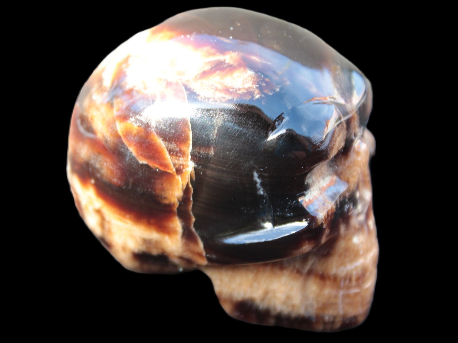 Chocolate Calcite skull 52-53mm 191-204g Rocks and Things