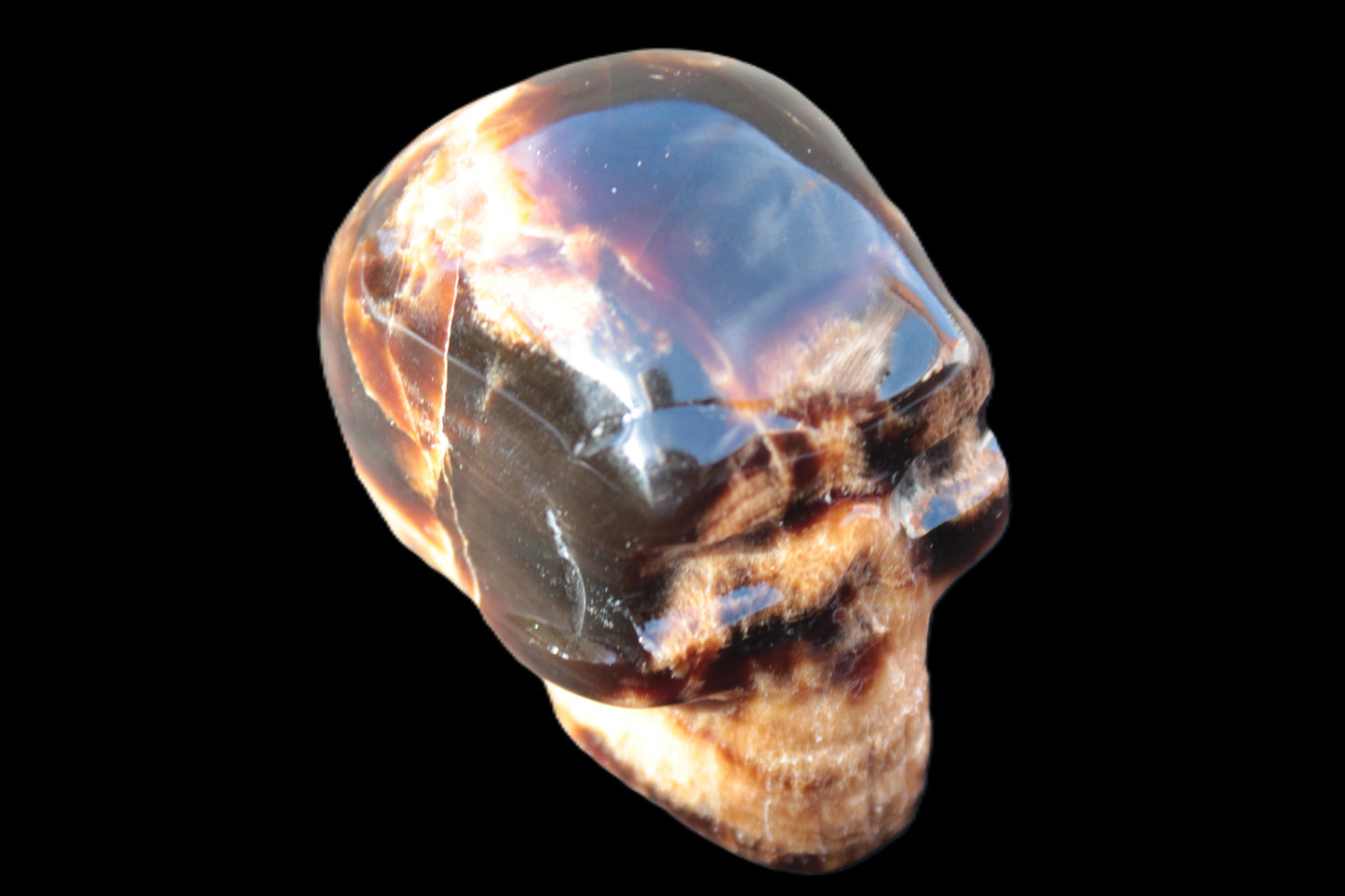 Chocolate Calcite skull 52-53mm 191-204g Rocks and Things