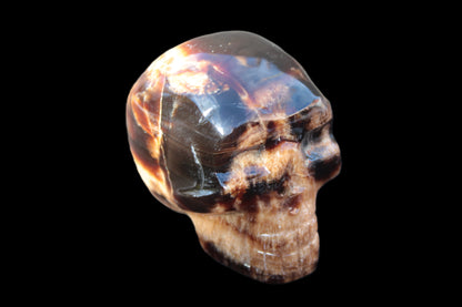 Chocolate Calcite skull 52-53mm 191-204g Rocks and Things