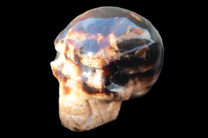 Chocolate Calcite skull 52-53mm 191-204g Rocks and Things