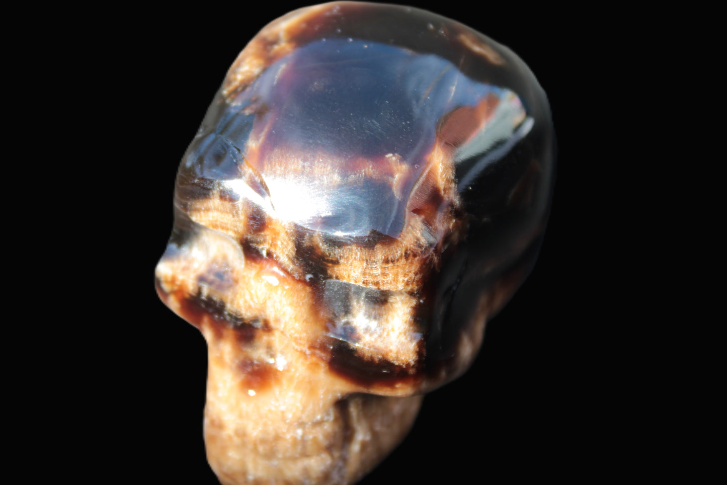 Chocolate Calcite skull 52-53mm 191-204g Rocks and Things