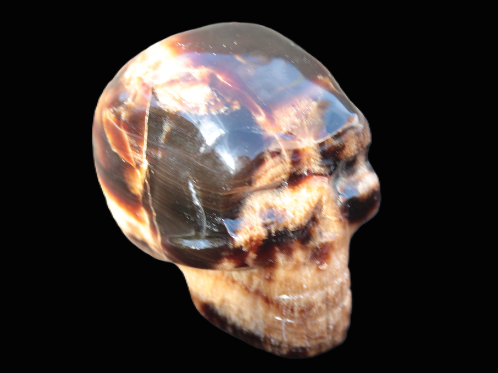 Chocolate Calcite skull 52-53mm 191-204g Rocks and Things