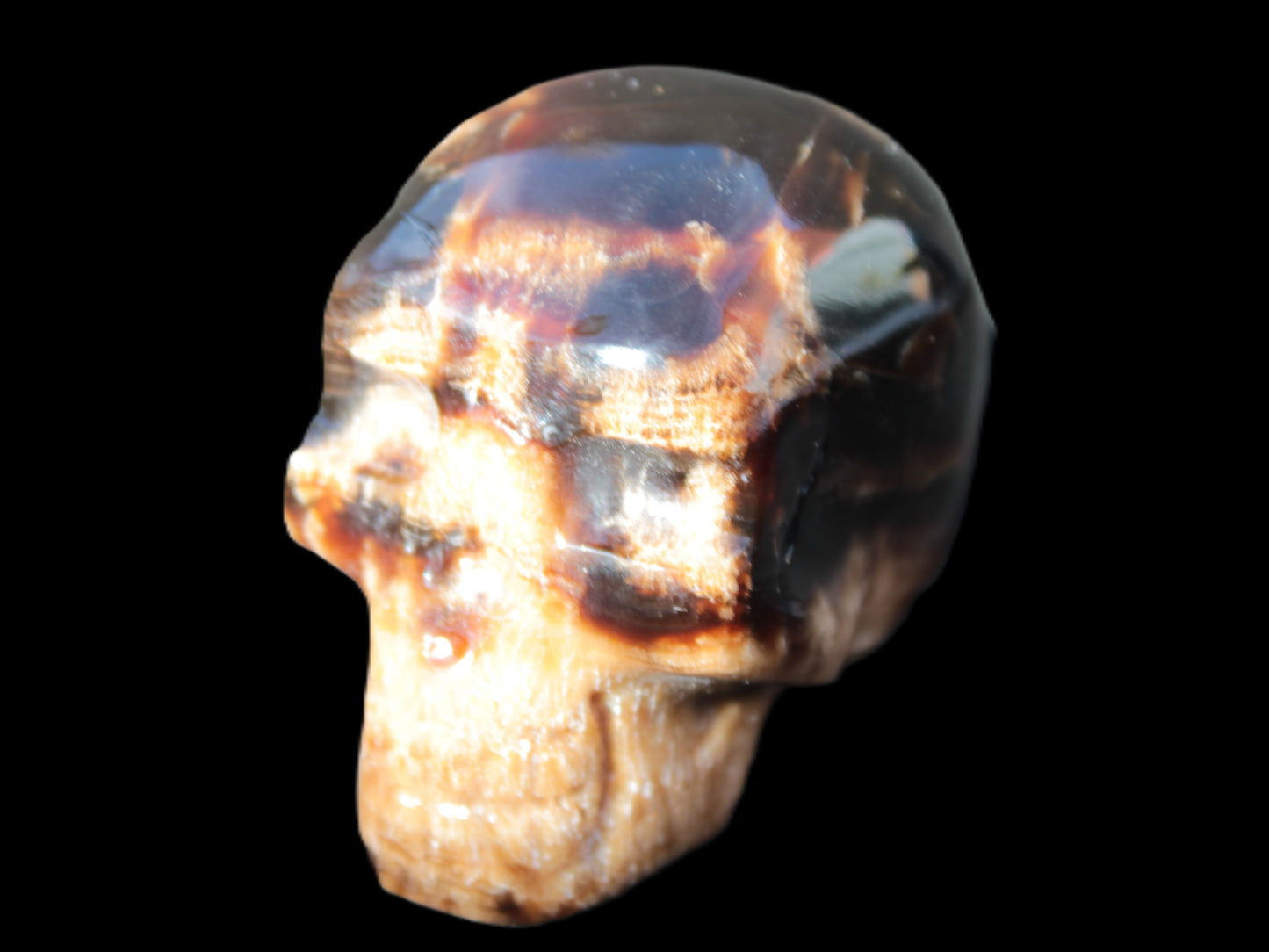 Chocolate Calcite skull 52-53mm 191-204g Rocks and Things