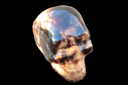 Chocolate Calcite skull 52-53mm 191-204g Rocks and Things