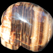 Chocolate Calcite skull 52-53mm 191-204g in sunshine - Rocks and Things Store