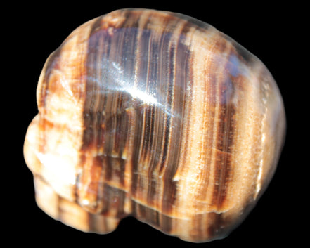 Chocolate Calcite skull 52-53mm 191-204g in sunshine - Rocks and Things Store