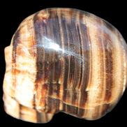 Chocolate Calcite skull 52-53mm 191-204g in sunshine - Rocks and Things Store