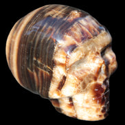 Chocolate Calcite skull 52-53mm 191-204g in sunshine - Rocks and Things Store