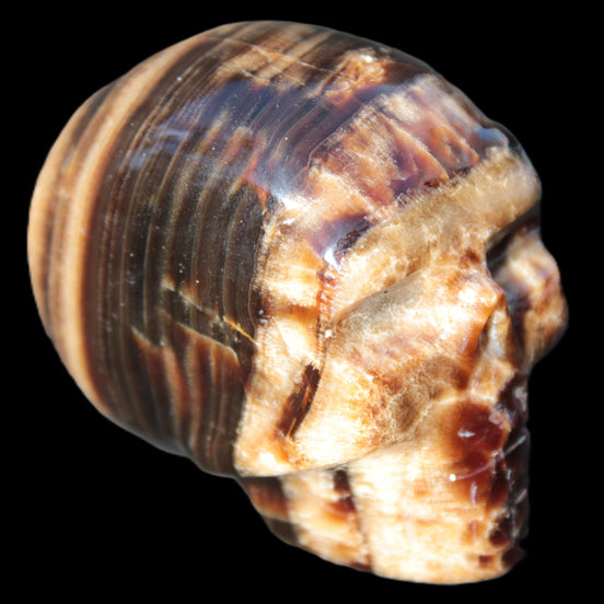 Chocolate Calcite skull 52-53mm 191-204g in sunshine - Rocks and Things Store