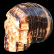 Chocolate Calcite skull 52-53mm 191-204g in sunshine - Rocks and Things Store