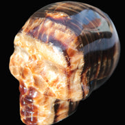 Chocolate Calcite skull 52-53mm 191-204g in sunshine - Rocks and Things Store