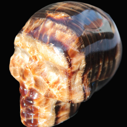 Chocolate Calcite skull 52-53mm 191-204g in sunshine - Rocks and Things Store