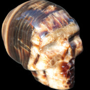 Chocolate Calcite skull 52-53mm 191-204g in sunshine - Rocks and Things Store
