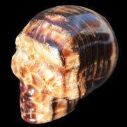 Chocolate Calcite skull 52-53mm 191-204g in sunshine - Rocks and Things Store