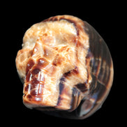 Chocolate Calcite skull 52-53mm 191-204g in sunshine - Rocks and Things Store
