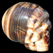 Chocolate Calcite skull 52-53mm 191-204g in sunshine - Rocks and Things Store