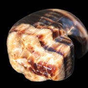 Chocolate Calcite skull 52-53mm 191-204g Rocks and Things