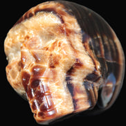 Chocolate Calcite skull 52-53mm 191-204g Rocks and Things