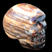 Chocolate Calcite skull 52-53mm 191-204g Rocks and Things