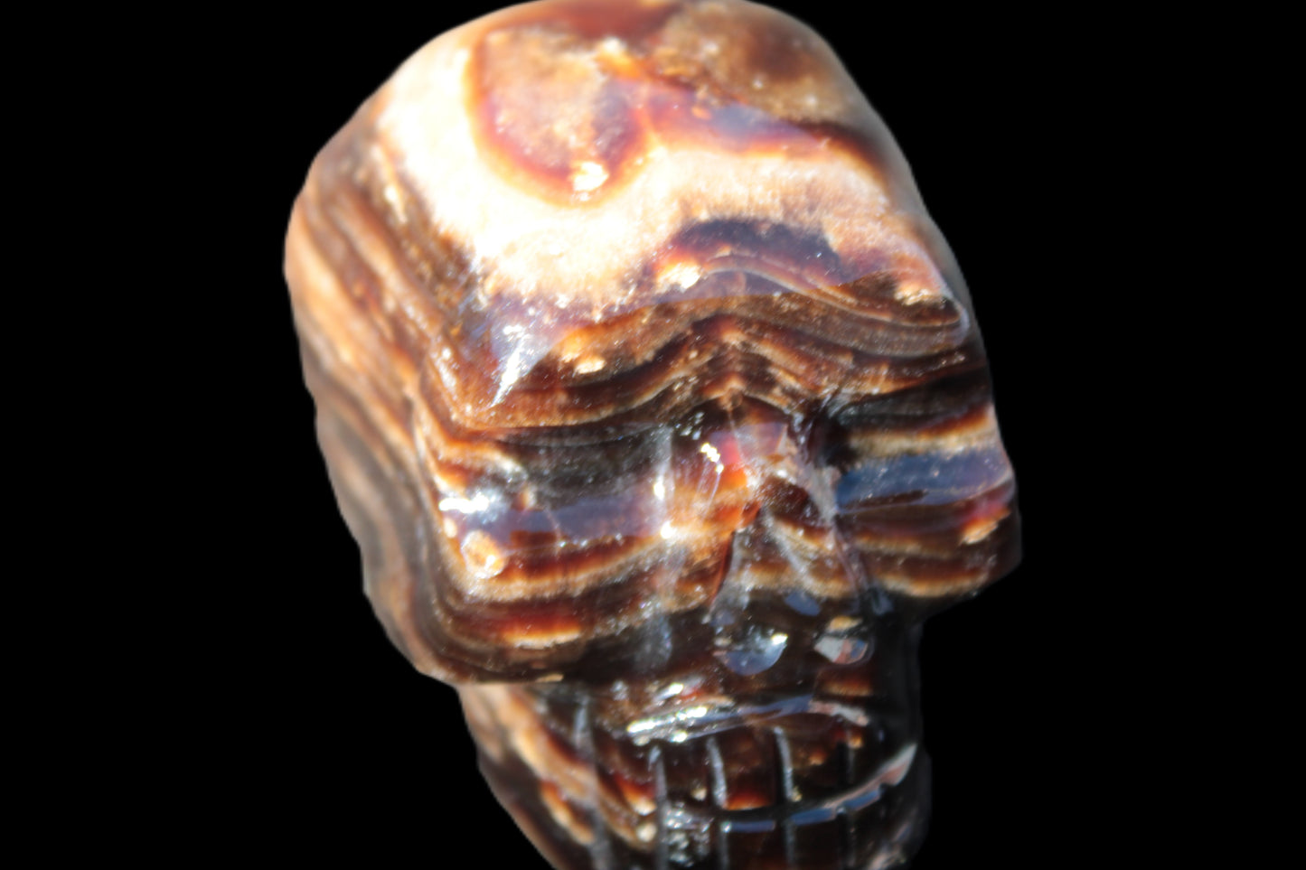 Chocolate Calcite skull 52-53mm 191-204g Rocks and Things