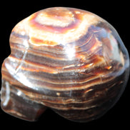 Chocolate Calcite skull 52-53mm 191-204g Rocks and Things