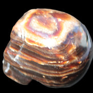 Chocolate Calcite skull 52-53mm 191-204g Rocks and Things