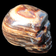 Chocolate Calcite skull 52-53mm 191-204g Rocks and Things