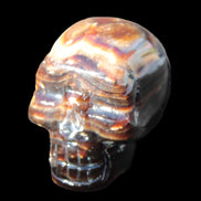 Chocolate Calcite skull 52-53mm 191-204g Rocks and Things