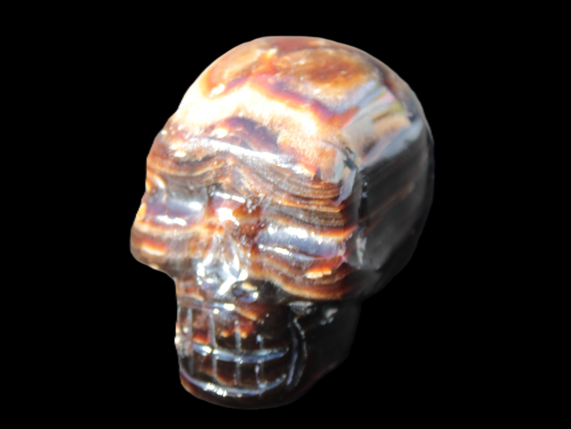 Chocolate Calcite skull 52-53mm 191-204g Rocks and Things