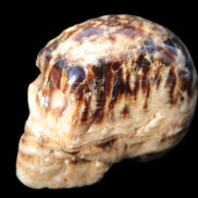 Chocolate Calcite hand-carved skull 37*61*50mm  152.7g Rocks and Things