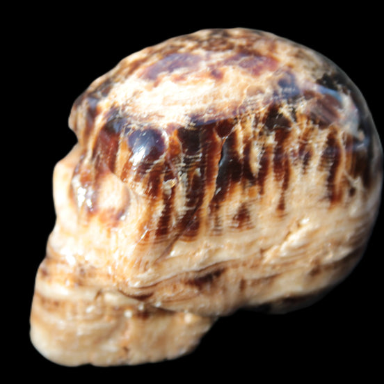 Chocolate Calcite hand-carved skull 37*61*50mm  152.7g Rocks and Things