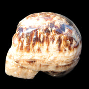 Chocolate Calcite hand-carved skull 37*61*50mm  152.7g Rocks and Things