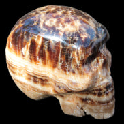 Chocolate Calcite hand-carved skull 37*61*50mm  152.7g Rocks and Things