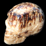 Chocolate Calcite hand-carved skull 37*61*50mm  152.7g Rocks and Things