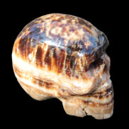 Chocolate Calcite hand-carved skull 37*61*50mm  152.7g Rocks and Things