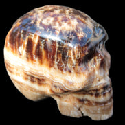 Chocolate Calcite hand-carved skull 37*61*50mm  152.7g Rocks and Things