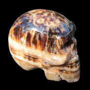 Chocolate Calcite hand-carved skull 37*61*50mm  152.7g Rocks and Things