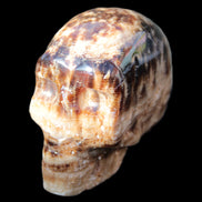 Chocolate Calcite hand-carved skull 37*61*50mm  152.7g Rocks and Things